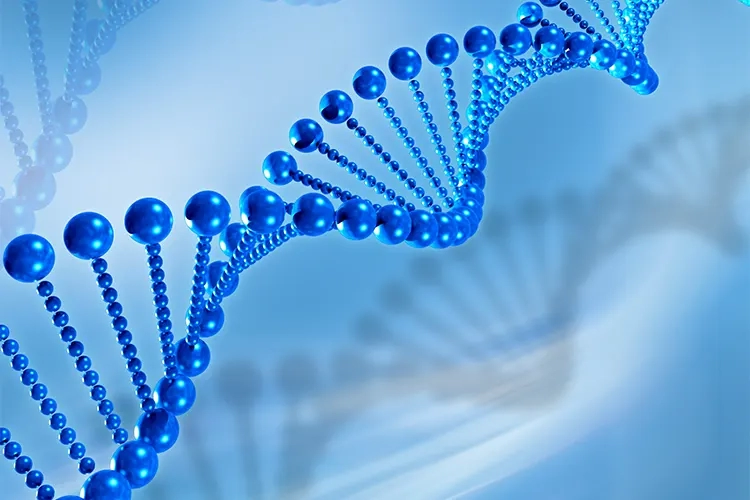 Ankara Biyoloji Özel Ders